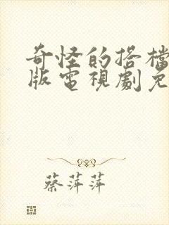 奇怪的搭档国语版电视剧免费观看全集封面