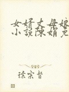 女婿丈母娘言情小说陈娟免费阅读