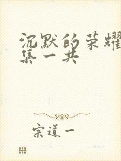 沉默的荣耀多少集一共