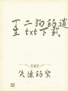 丁二狗的逍遥人生 txt下载