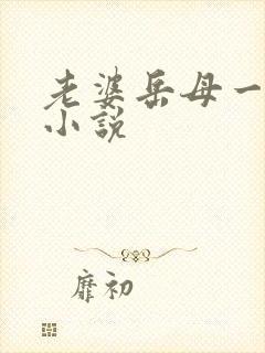 老婆岳母一起操小说封面