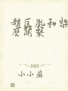 赵匡胤和柴荣什么关系