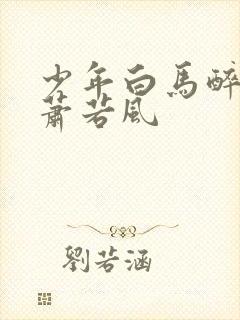 少年白马醉春风萧若风封面