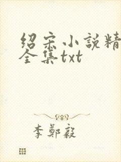 绍宋小说精校版全集txt封面