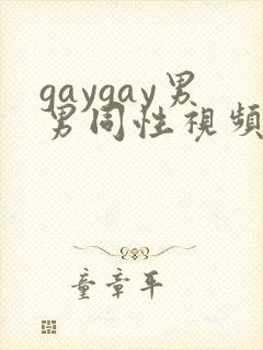 gaygay男男同性视频