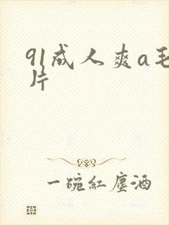 91成人爽a毛片