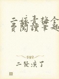 二嫁青梅全文免费阅读笔趣阁封面