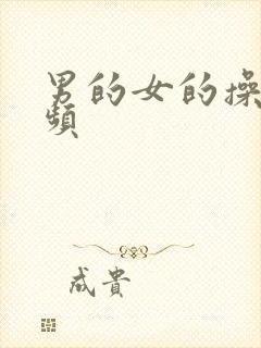 男的女的操操视频封面