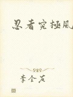 忍者究极风暴4封面