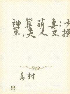 神算萌妻:少将军,夫人又撩又宠封面