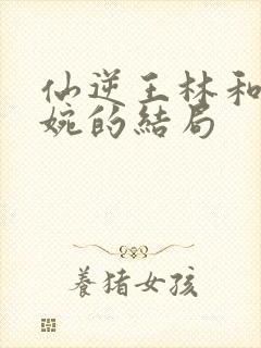仙逆王林和李慕婉的结局封面