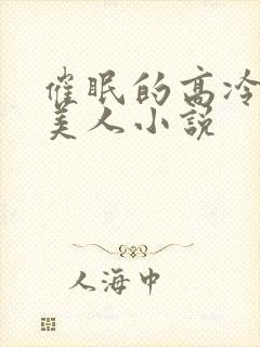 催眠的高冷双性美人小说封面