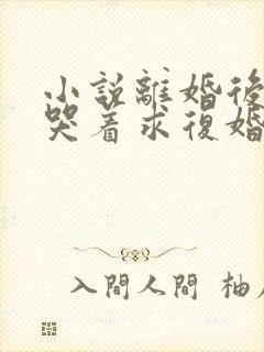 小说离婚后前夫哭着求复婚在线观看