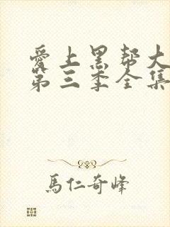 爱上黑帮大佬的第三季全集免费观看