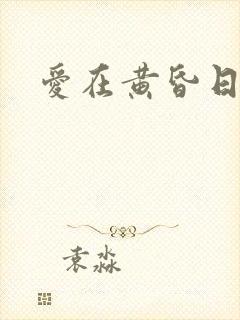 爱在黄昏日落时封面