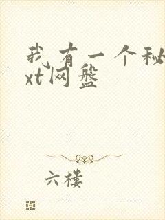 我有一个秘密txt网盘