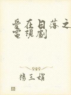 爱在日落之前 电视剧封面