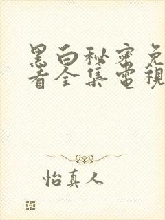 黑白秘密免费观看全集电视剧结局