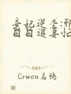 弃妃逆袭:邪王日日追妻忙 明夏封面