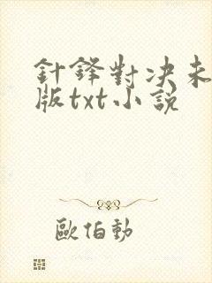 针锋对决未删减版txt小说