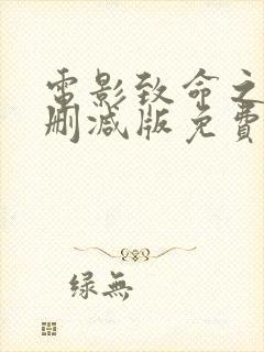 电影致命之旅未删减版免费观看封面