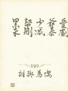 黑帮少爷爱上我未删减泰剧