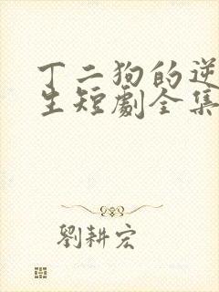丁二狗的逆袭人生短剧全集