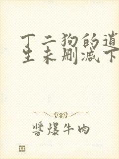 丁二狗的逍遥人生未删减下载封面