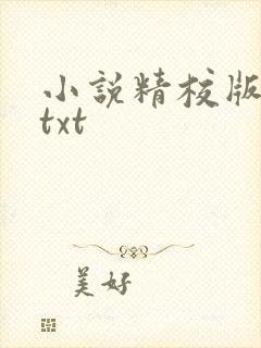 小说精校版全本txt