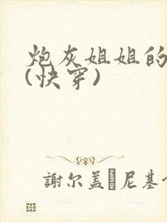 炮灰姐姐的人生(快穿)封面