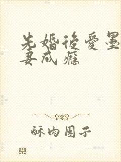 先婚后爱墨少宠妻成瘾