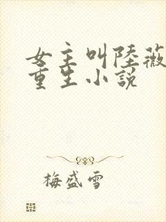 女主叫陆薇薇的重生小说封面