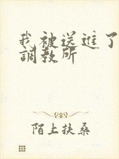 我被送进了私奴调教所