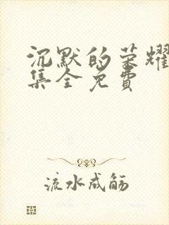 沉默的荣耀27集全免费