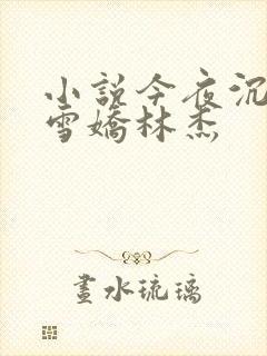 小说今夜沉醉段雪娇林杰