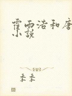 霍雨浩和唐舞桐小说