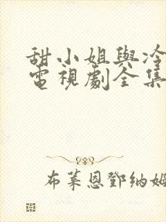 甜小姐与冷先生电视剧全集免费观看