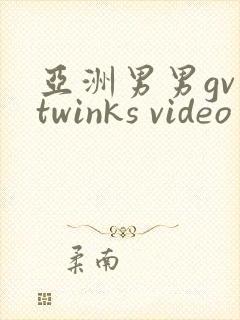 亚洲男男gv twinks video