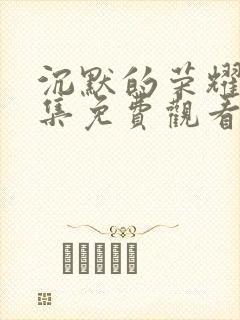 沉默的荣耀33集免费观看