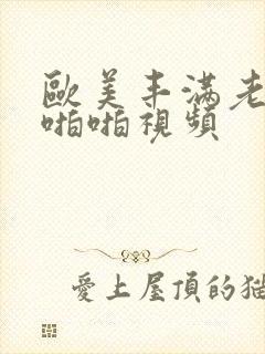 欧美丰满老熟女啪啪视频