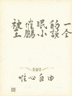 被催眠的一家人王鹏小说全文阅读无