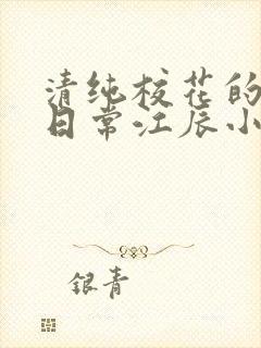 清纯校花的被宠日常江辰小说