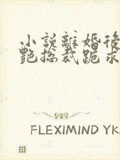 小说离婚后,冷艳总裁跪求复婚完整版