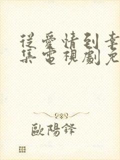 从爱情到幸福全集电视剧免费观看