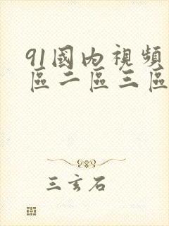 91国内视频一区二区三区