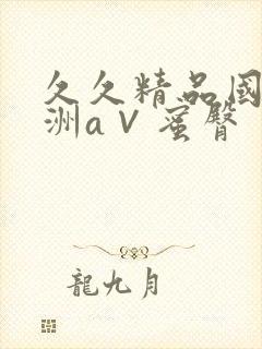 久久精品国产亚洲a∨蜜臀