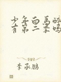 少年白马醉春风有第二季吗封面