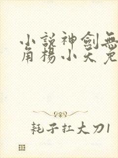 小说神剑无敌主角杨小天免费阅读