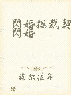 闪婚总裁契约妻闪婚