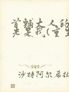 首辅大人的白月光是我(重生)